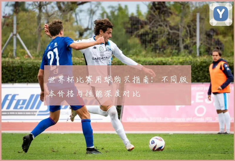 世界杯比赛用球购买指南：不同版本价格与性能深度对比