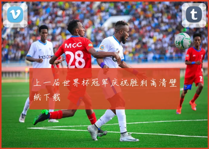上一届世界杯冠军庆祝胜利高清壁纸下载
