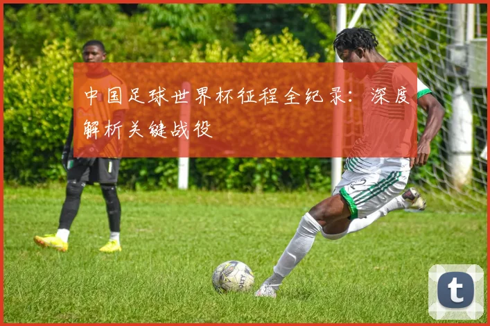 中国足球世界杯征程全纪录：深度解析关键战役