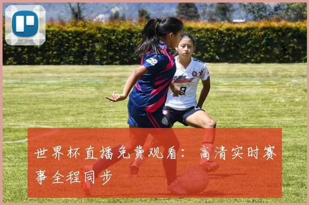 世界杯直播免费观看:高清实时赛事全程同步