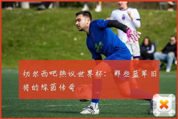 切尔西吧热议世界杯：那些蓝军旧将的绿茵传奇
