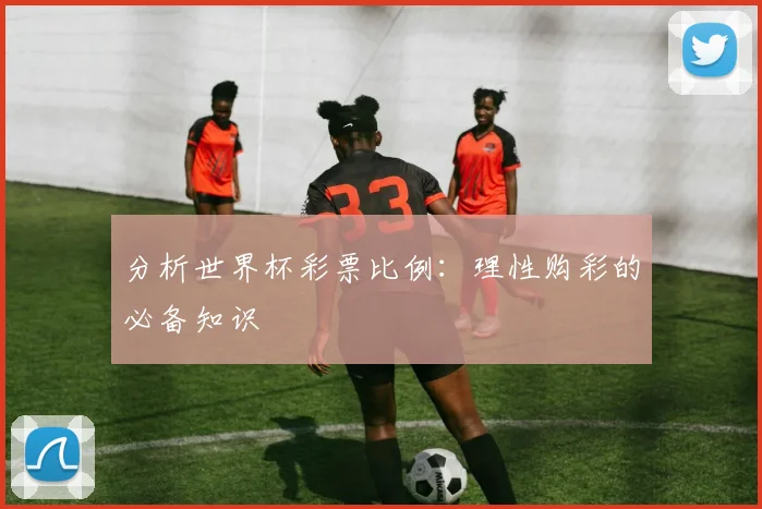 分析世界杯彩票比例：理性购彩的必备知识