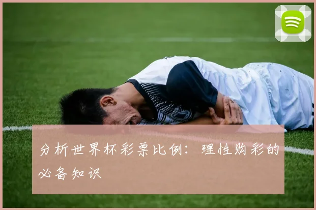 分析世界杯彩票比例：理性购彩的必备知识