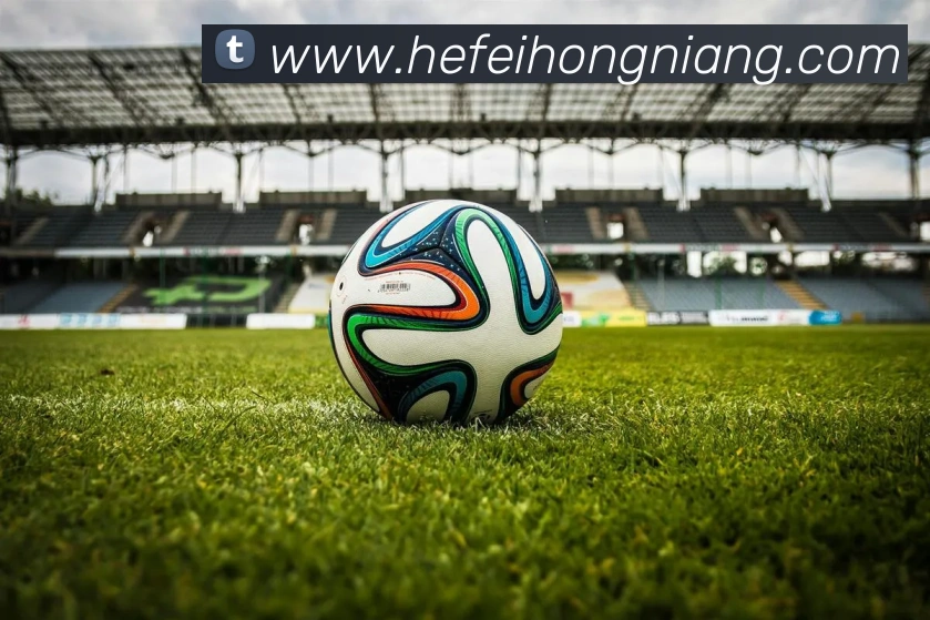 beat365网址发展历程